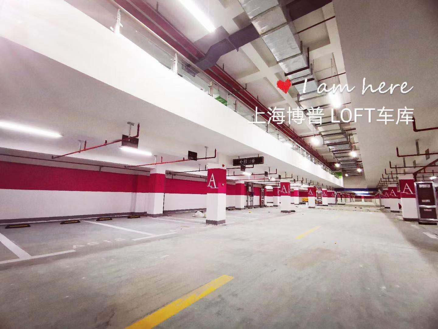 浙江已交竣的绿城豪华LOFT专利车库效果惊艳！